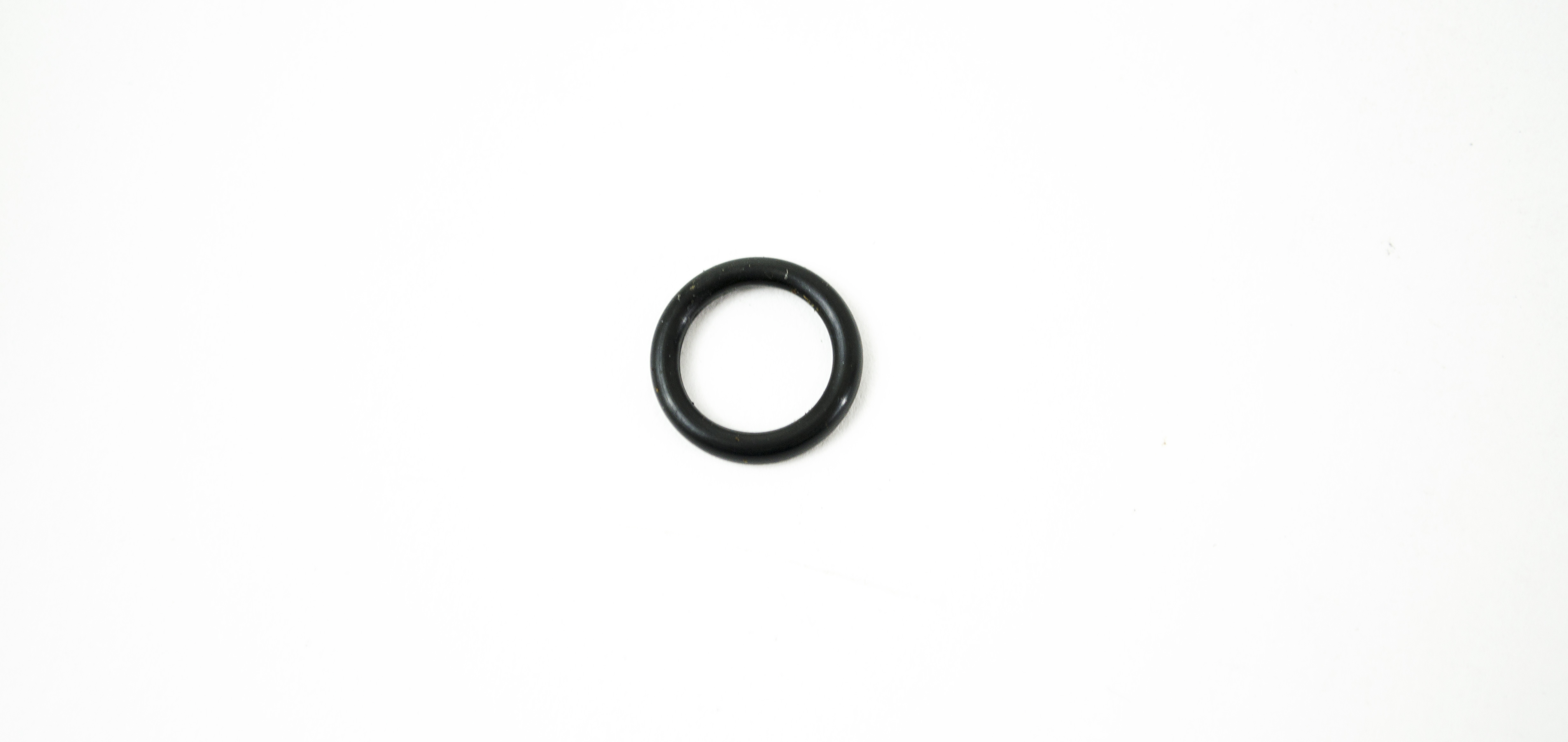 OEM O-Ring: Biopsy Port Therapeutic Holder - GIF-2T100, GIF-2T20