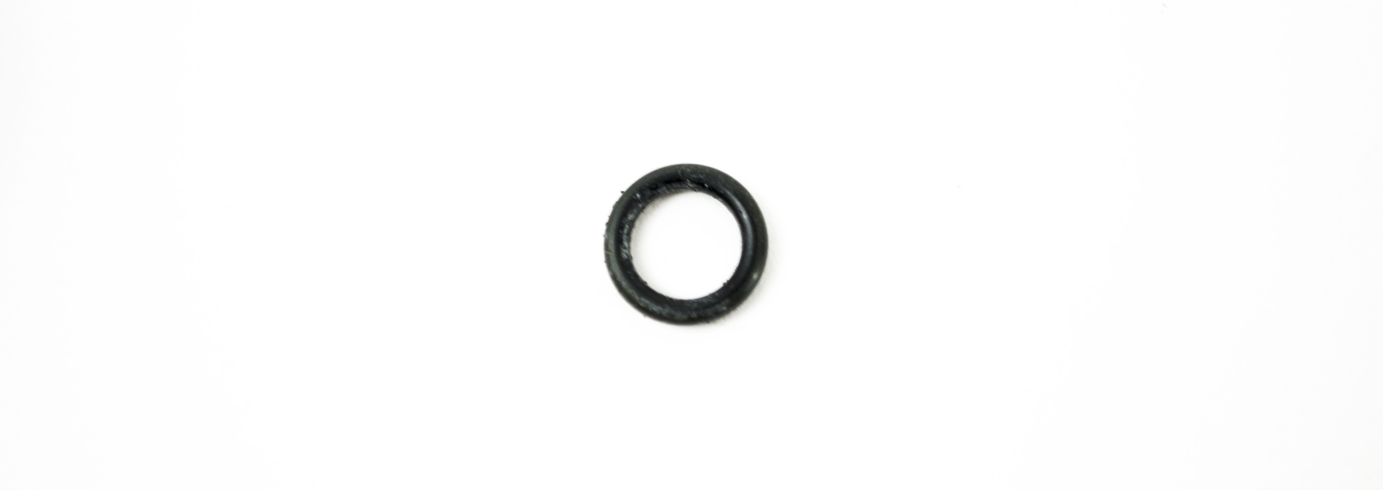 OEM O-Ring: Biopsy Port Therapeutic (Distal End) - GIF-2T100, GIF-2T20