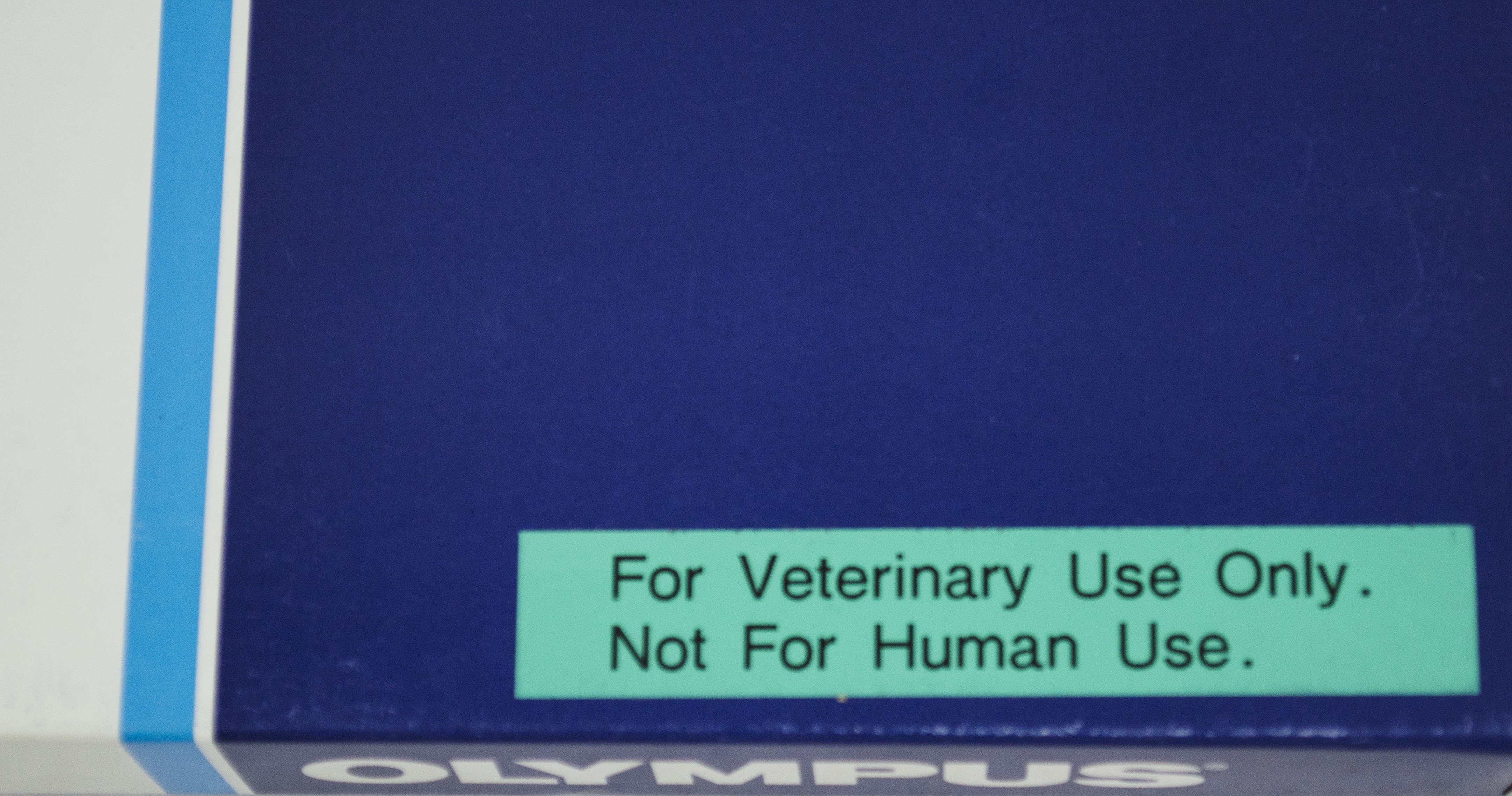 Olympus Reusable Biopsy Forceps - 6231095: For Vet-Use Only (Original Packaging)